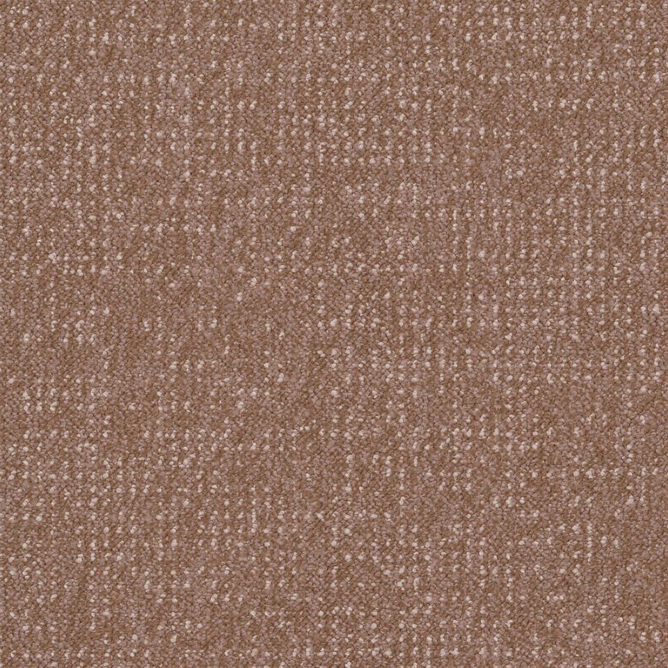 Desso Enlaced AD43 2083-V B8 50x50