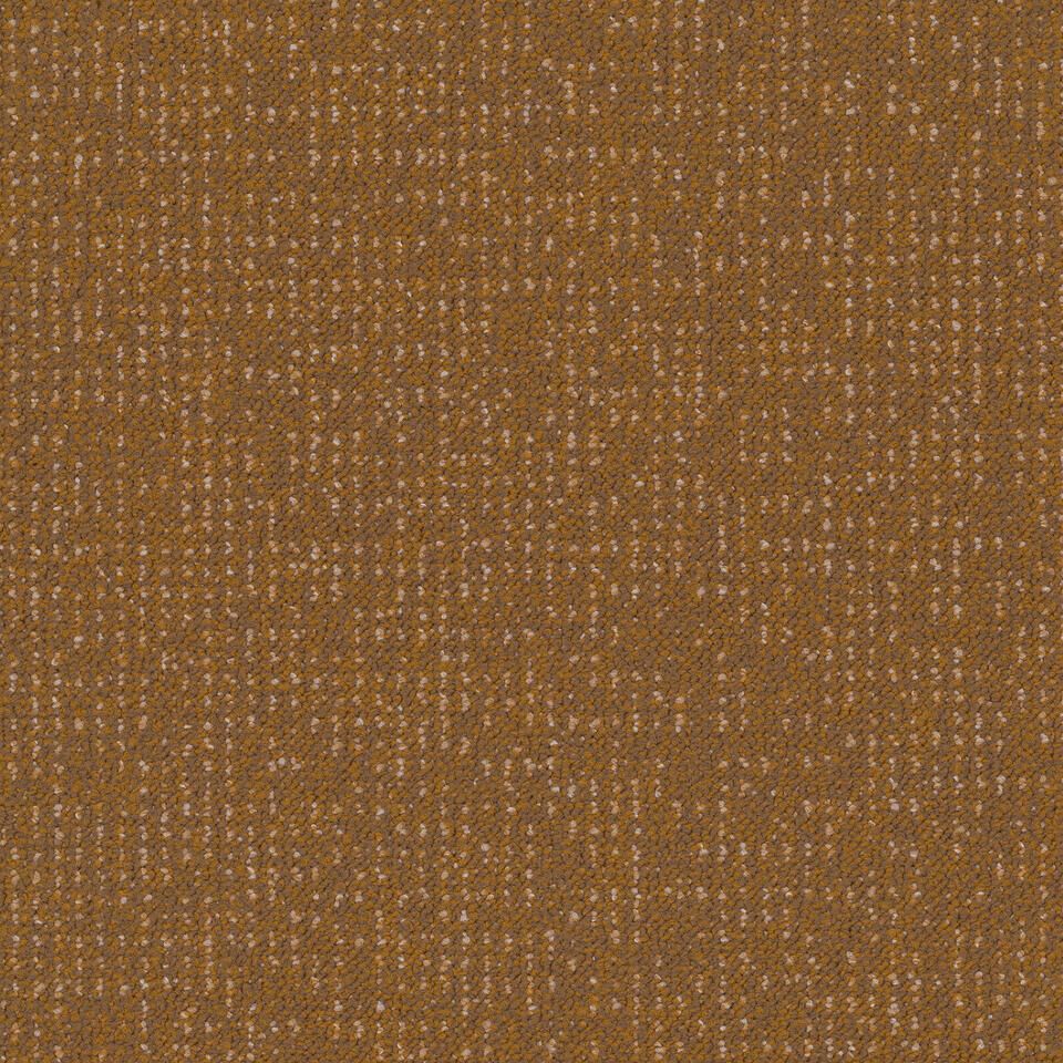 Desso Enlaced AD43 5311 B8 50x50