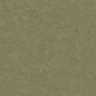 Veneto KHAKI 757
