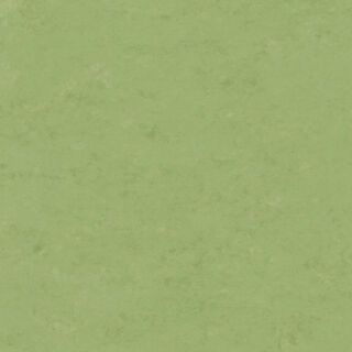 Veneto APPLE GREEN 754