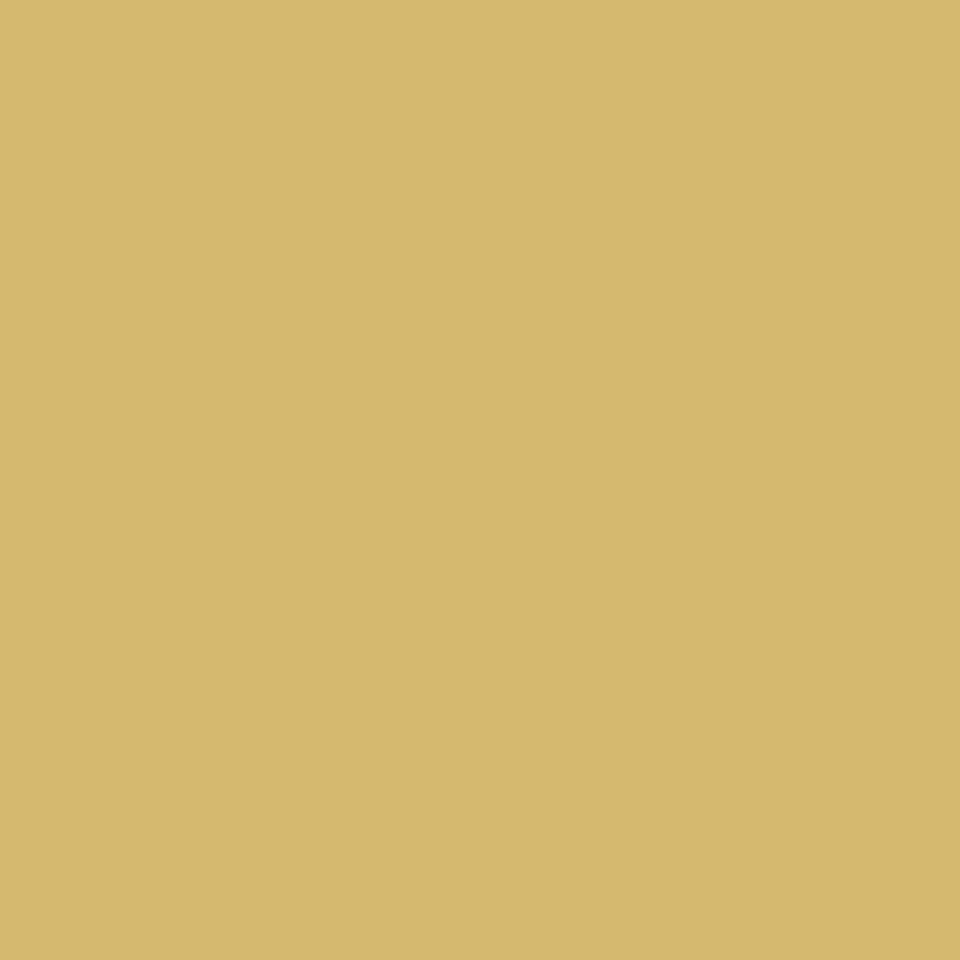 Tarkett Acczent Excellence Compact+
