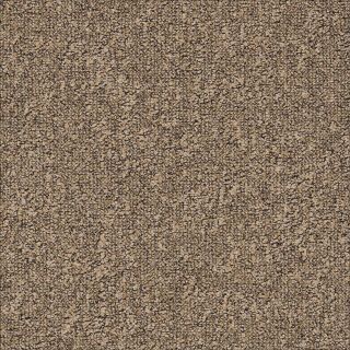 Airmaster Earth AD31 2023