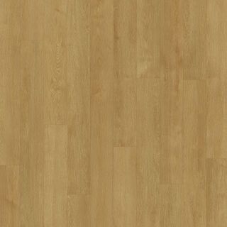 XXL Oak GOLDEN