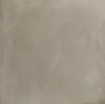 Tortora