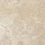 Fawn