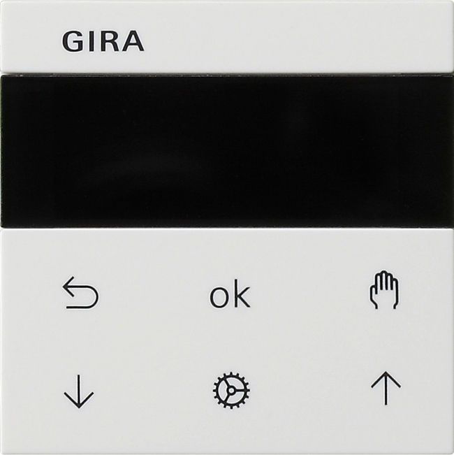 Gira System 55 System 3000 Jalousie- und Schaltuhr Display