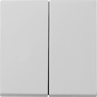 Gira Standard 55 Wippe IP44