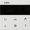 Gira System 55 System 3000 Jalousie- und Schaltuhr Display