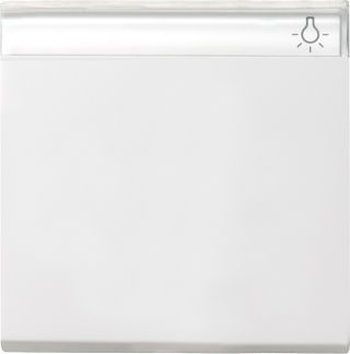Gira System 55 Wippe mit Beschriftungsfeld 