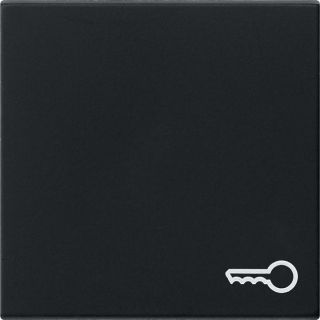 Wippe Symb. TürSystem 55 Schwarz m