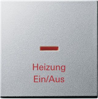 Gira System 55 Wippe mit Kontrollfenster und Aufdruck 