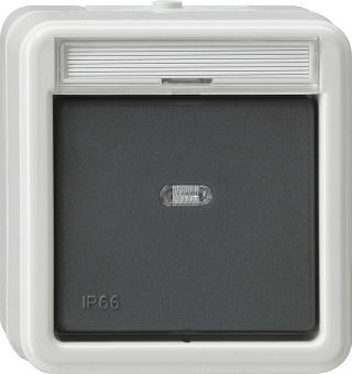 Wipp-Kontroll Aus 2-p BSFWD AP Grau