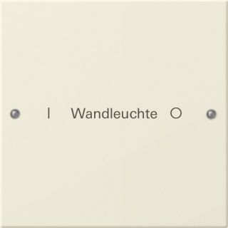 Gira System 55 Wippenset 1fach beschreibbar