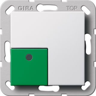 AbstelltasterSystem 55 Reinweiß