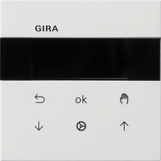 Gira Flächenschalter System 3000 Jalousie- und Schaltuhr Display