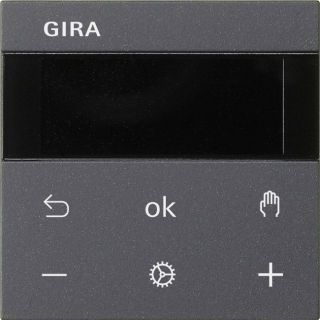 Gira System 55 System 3000 Raumtemperaturregler Display