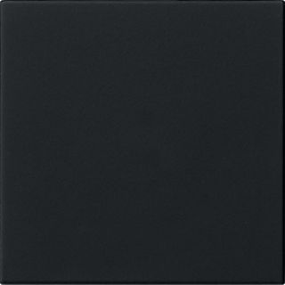 S3000 Bedienaufs.System 55 Schwarz m
