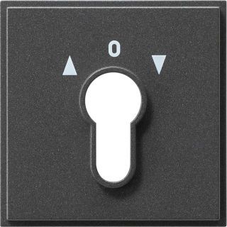 Gira TX_44 Abdeckung für Schlüsselschalter/-taster