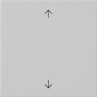 Gira System 55 System 3000 Bedienaufsatz Pfeilsymbole