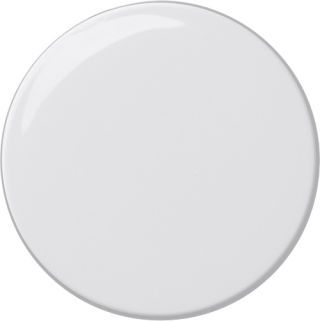 Gira System 55 Knopf für Dimmer