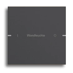 Gira Tastensensor 4, Anthrazit (lackiert)