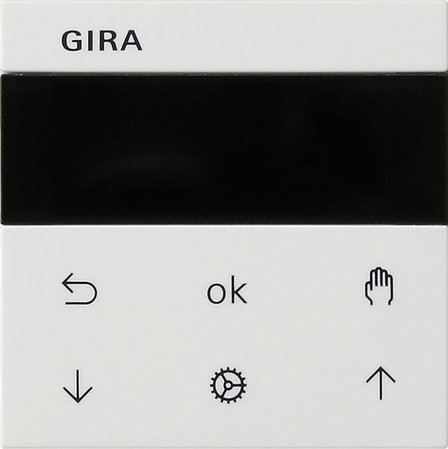 Gira System 55 System 3000 Jalousie- und Schaltuhr Display