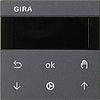 Gira System 55 System 3000 Jalousie- und Schaltuhr Display