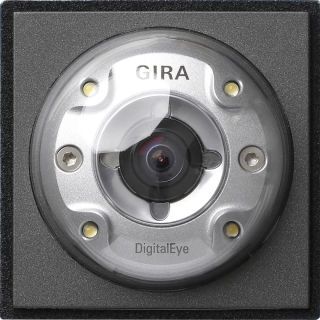 Gira TX_44 Farbkamera für Türstation