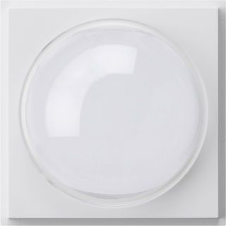 Gira TX_44 Abdeckung für Farbkamera 