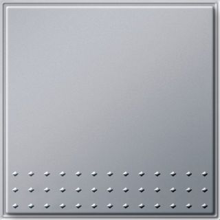 Tastschalter AusWeGira TX_44 (WG UP) F Alu
