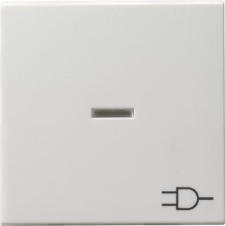 Gira System 55 Wippe mit Kontrollfenster und Symbol Steckdose