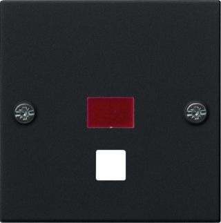 Gira System 55 Abdeckung mit Kontrollfenster