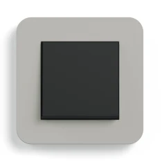 Gira E3, Grau Soft-Touch mit Trägerrahmen Anthrazit