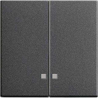 Gira System 55 Wippe mit Kontrollfenster