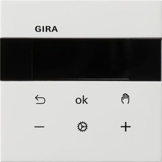 Gira Flächenschalter System 3000 Raumtemperaturregler BT