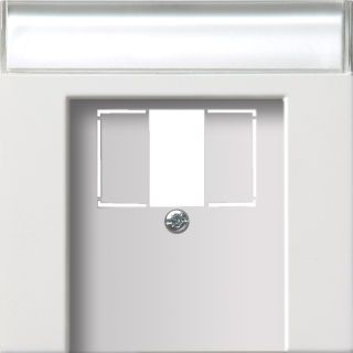 Gira Flächenschalter Abdeckung für TAE und USB mit Beschriftungsfeld