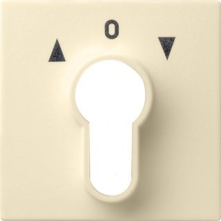 Gira System 55 Abdeckung für Schlüsselschalter/-taster