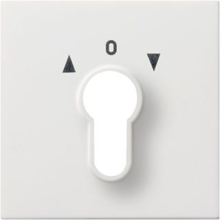 Gira Flächenschalter Abdeckung für Schlüsselschalter/-taster