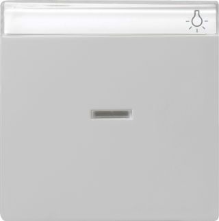 Gira System 55 Wippe mit Kontrollfenster und Beschriftungsfeld