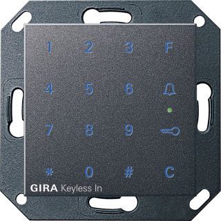 Gira System 55 Keyless In Codetastatur