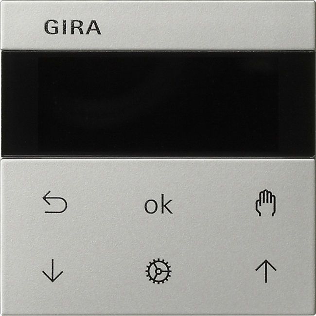 Gira System 55 System 3000 Jalousie- und Schaltuhr Display