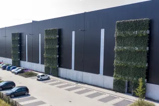 Die Pflanzen, die für die Begrünung des WallPlanter-Systems verwendet werden, werden nachhaltig erzeugt.