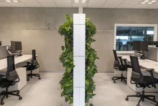 Die Pflanzen auf beiden Seiten des Raumteilers können Umgebungsgeräusche absorbieren.