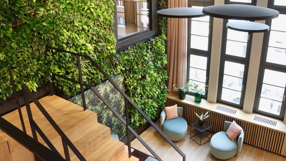Zu den Produktinformationen: Indoor-Begrünung für lebendiges Grün