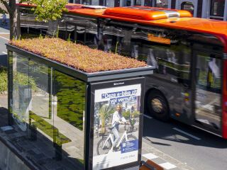 Gründach MobiRoof ECO