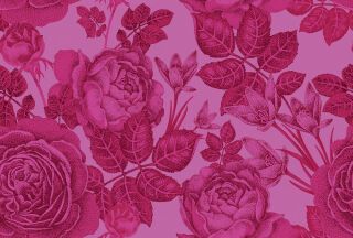 AP Fototapete Walls by Patel, baccara, Rosa (DD111151)