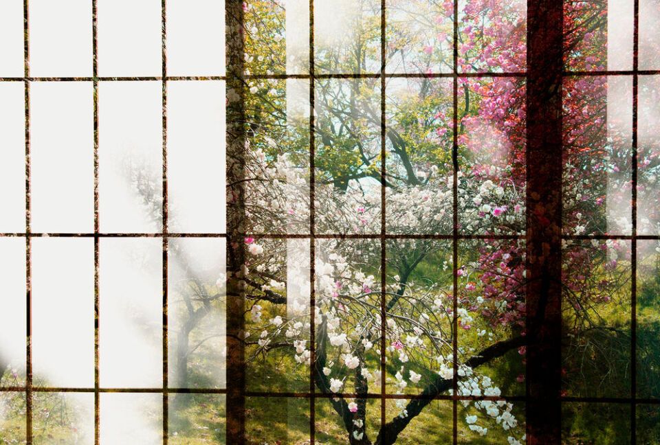 Architects Paper Fototapete Walls by Patel 2