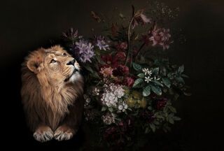 AP Fototapete Walls by Patel, wildlife, Schwarz (DD110621)