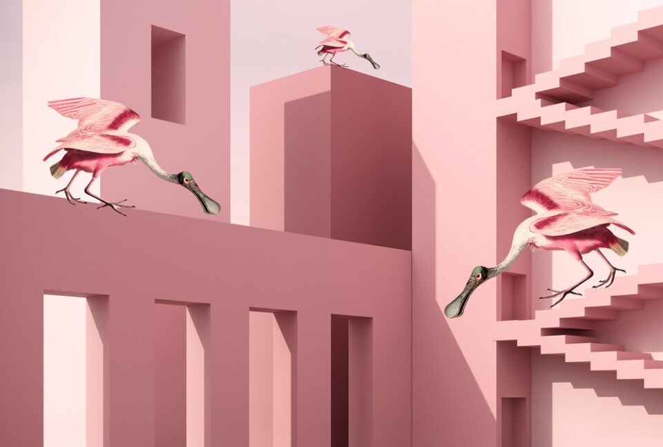 Architects Paper Fototapete Walls by patel 4