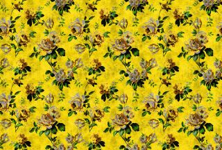 AP Fototapete Walls by Patel 2, Wildroses, Gelb (DD113917)